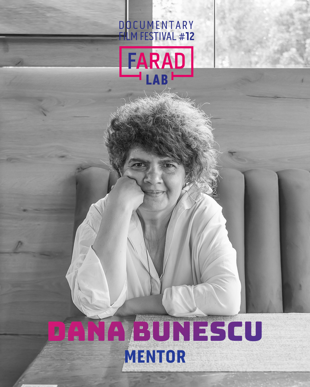 dana-bunescu-framed