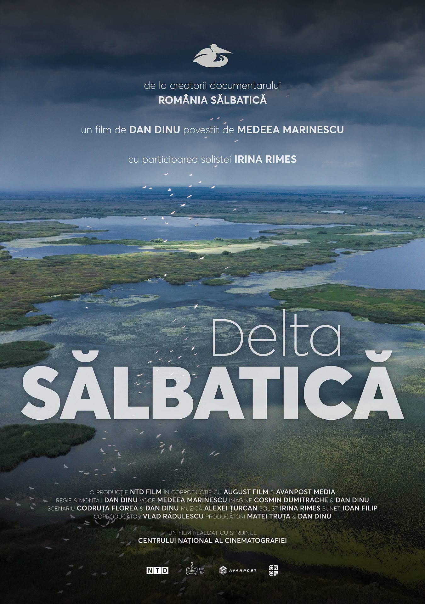 Wild Delta